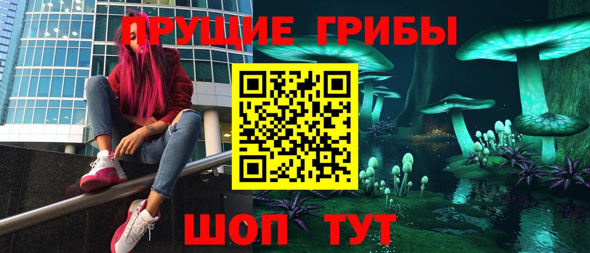 Псилоцибиновые грибы мицелий Сергиев Посад