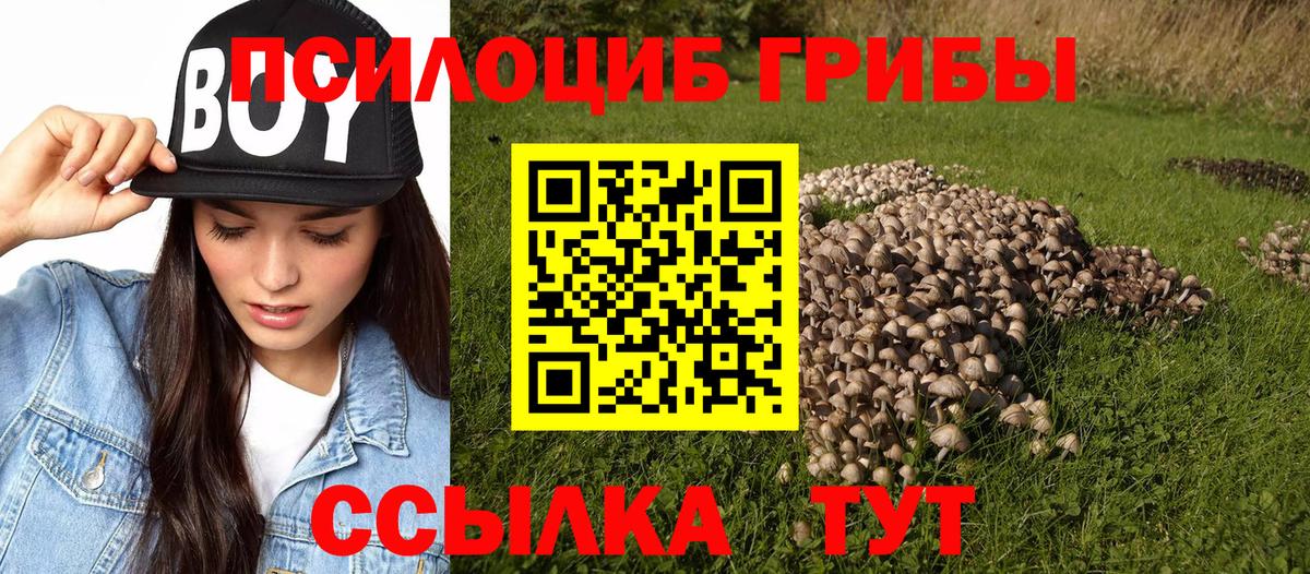 Сергиев Посад  купить наркоту  Вход с VPN  Галлюциногенные грибы GOLDEN TEACHER 